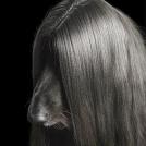 Фото Креативный фотограф Тим Флэч и его животные (46 фото) из раздела /