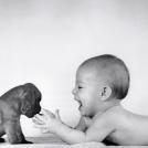 Фото Грудные дети и собаки (подборка из 35 фото) из раздела  /