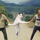 Фото Фотожабы на странного котейку из раздела  /