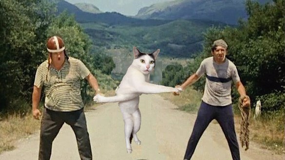 Фото Фотожабы на странного котейку из раздела  /