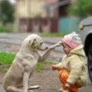 Фото Дотронулась до твоего лба: все, теперь ты принцесса из раздела  /