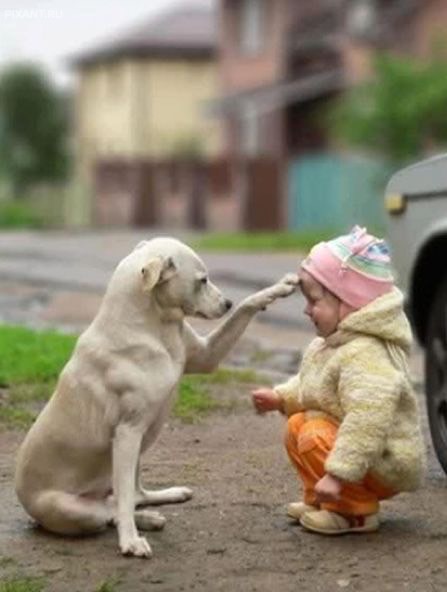 Фото Дотронулась до твоего лба: все, теперь ты принцесса из раздела  /