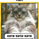 Фото Как в разных странах мира подзывают кошек из раздела  /