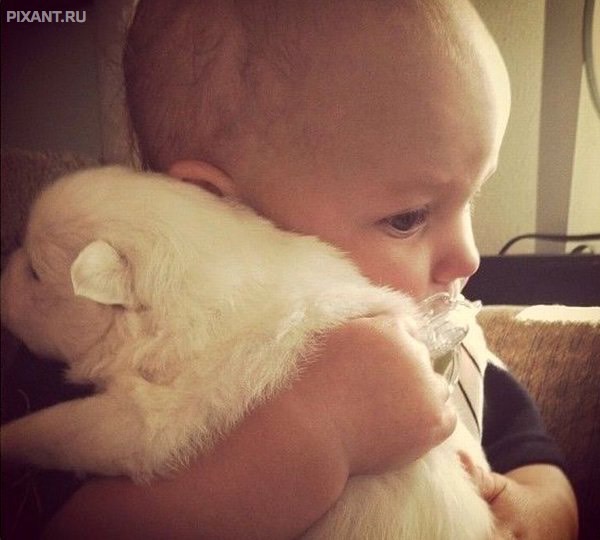 Фото Дети и собаки: обнимашки. Коллекция 51 супер милых фото из раздела  /