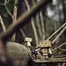 Фото Третье путешествие человечка из картонных коробок по России (39 фото) из раздела /