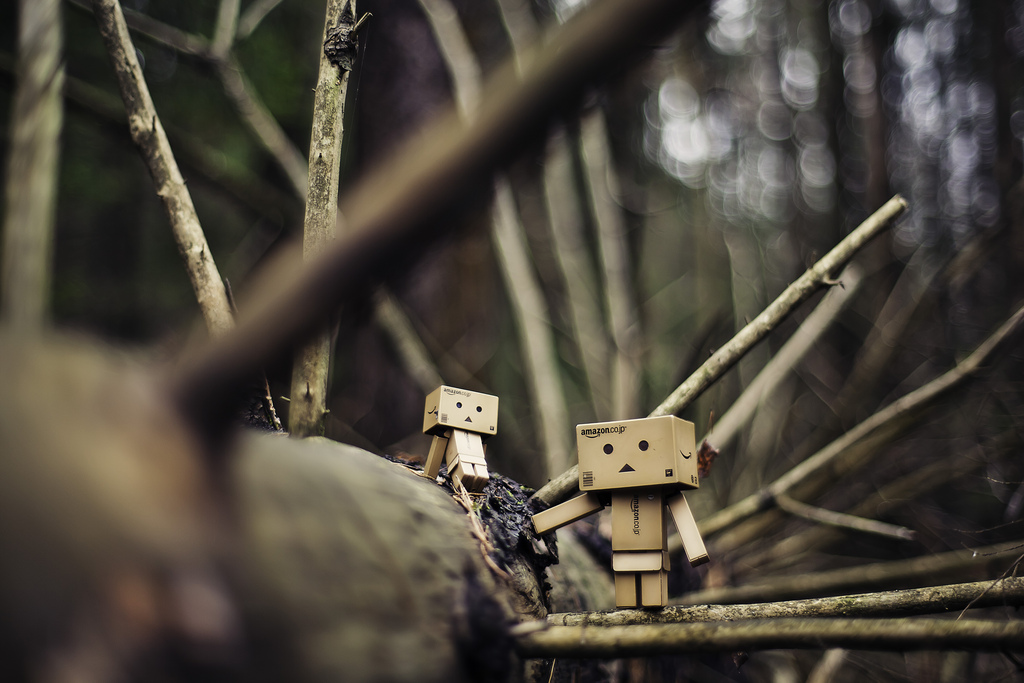 Фото Третье путешествие человечка из картонных коробок по России (39  фото) из раздела  /