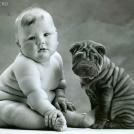 Фото Грудные дети и собаки (подборка из 35 фото) из раздела /