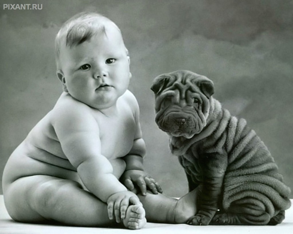 Фото Грудные дети и собаки (подборка из 35 фото) из раздела  /
