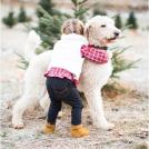 Фото Дети и собаки: обнимашки. Коллекция 51 супер милых фото из раздела /