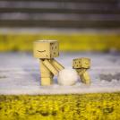 Фото Третье путешествие человечка из картонных коробок по России (39  фото) из раздела  /