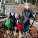 Фото Дети и собаки гуляют вместе (подборка из 24 фото) из раздела  /