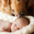 Фото Грудные дети и собаки (подборка из 35 фото) из раздела  /