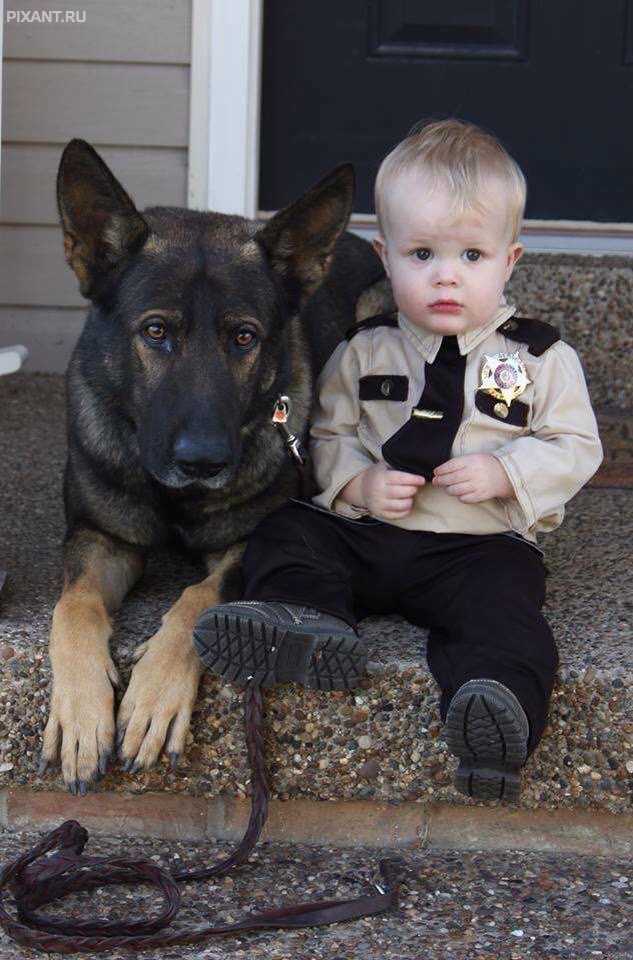 Фото Маленькие детки и собачки (подборка из 22 фото) из раздела  /