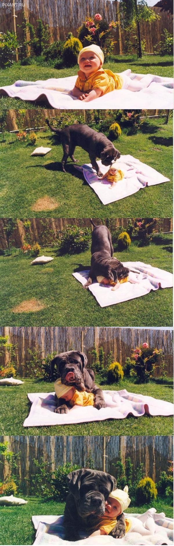 Фото Мой день с Шариком из раздела  /