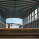 Фото Данбо в России 2: путешествие человечка из картонных коробок (34  фото) из раздела  /