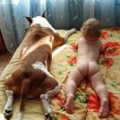 Фото Грудные дети и собаки (подборка из 35 фото) из раздела  /