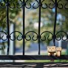 Фото Третье путешествие человечка из картонных коробок по России (39  фото) из раздела  /