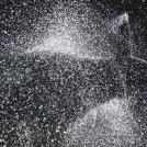 Фото Креативный фотограф Тим Флэч и его животные (46 фото) из раздела  /