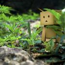 Фото Приключения человечка из картонной коробки Данбо: 131 фото из раздела  /