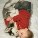 Фото Подборка из 21 милых фото: Спящие дети и собаки. Ми-ми-ми... из раздела  /