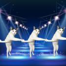 Фото Фотожабы на странного котейку из раздела  /