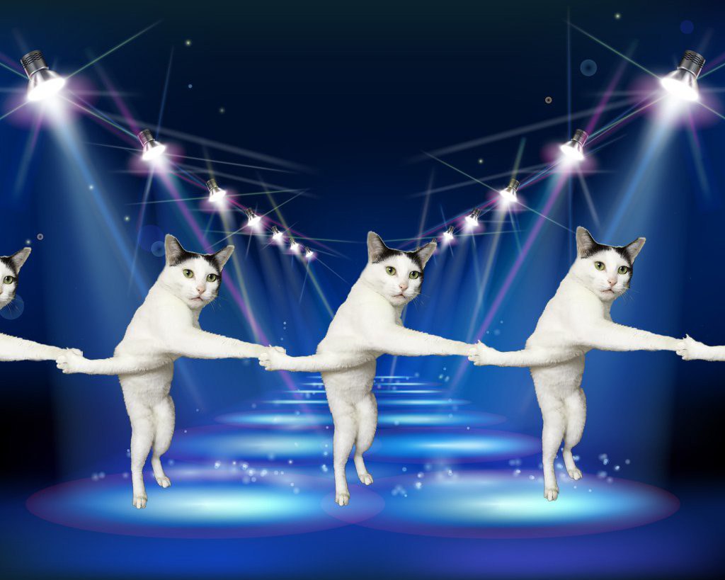 Фото Фотожабы на странного котейку из раздела  /