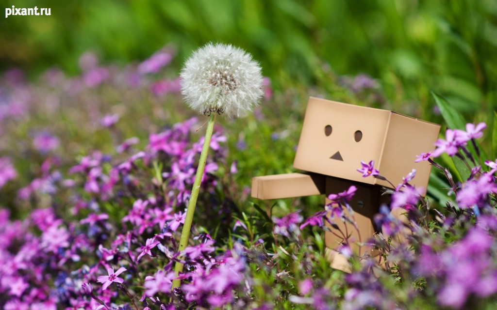 Фото Приключения человечка из картонной коробки Данбо: 131 фото из раздела /