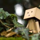 Фото Приключения человечка из картонной коробки Данбо: 131 фото из раздела  /