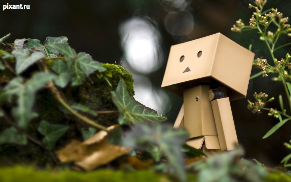 Фото Приключения человечка из картонной коробки Данбо: 131 фото из раздела /