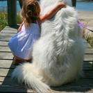 Фото Дети и собаки: обнимашки. Коллекция 51 супер милых фото из раздела  /