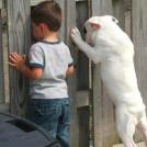 Фото Опять показывают! Ну как же так можно!?? Ну дают! из раздела /