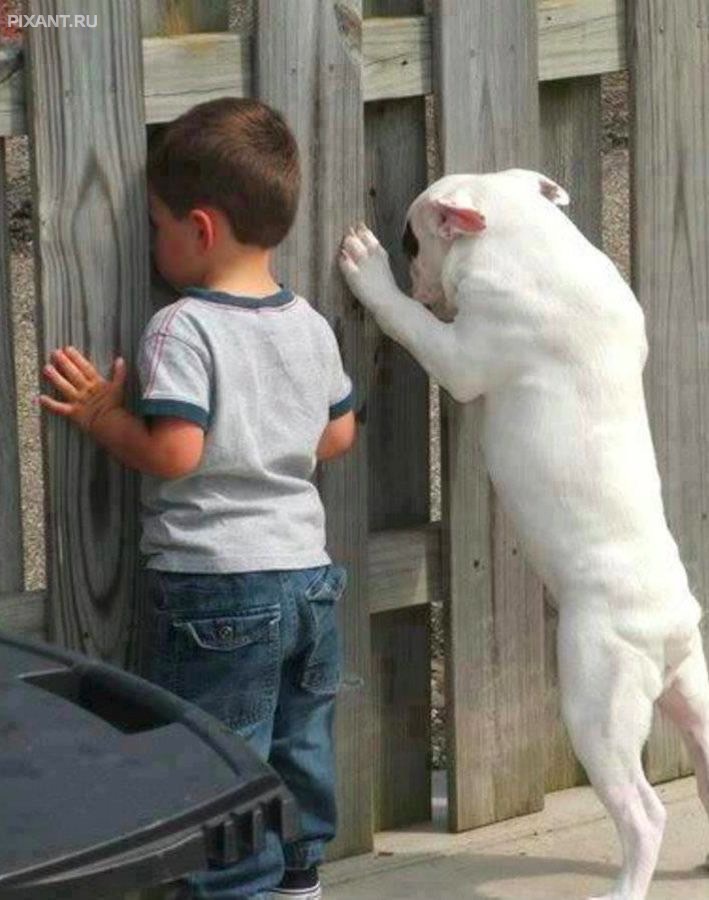 Фото Опять показывают! Ну как же так можно!?? Ну дают! из раздела  /