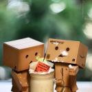 Фото Приключения человечка из картонной коробки Данбо: 131 фото из раздела  /