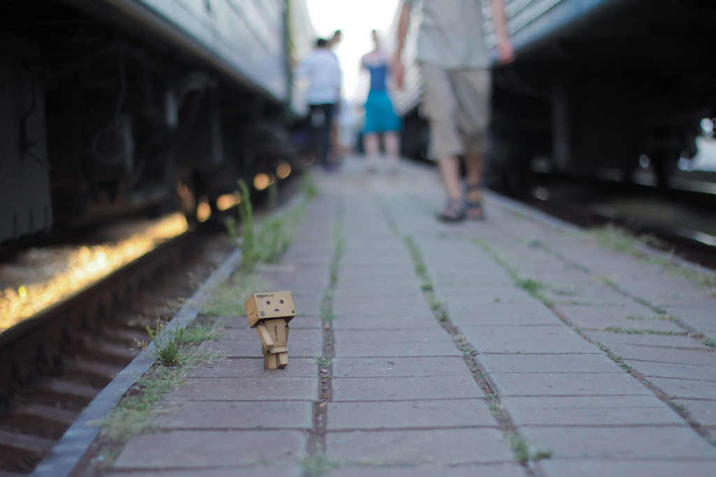 Фото Третье путешествие человечка из картонных коробок по России (39  фото) из раздела  /