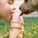 Фото Дети и собаки: лицом к лицу (чудесная подборка из 27 милых фото) из раздела  /