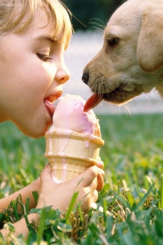 Фото Дети и собаки: лицом к лицу (чудесная подборка из 27 милых фото) из раздела  /