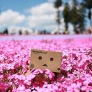 Фото Приключения человечка из картонной коробки Данбо: 131 фото из раздела /