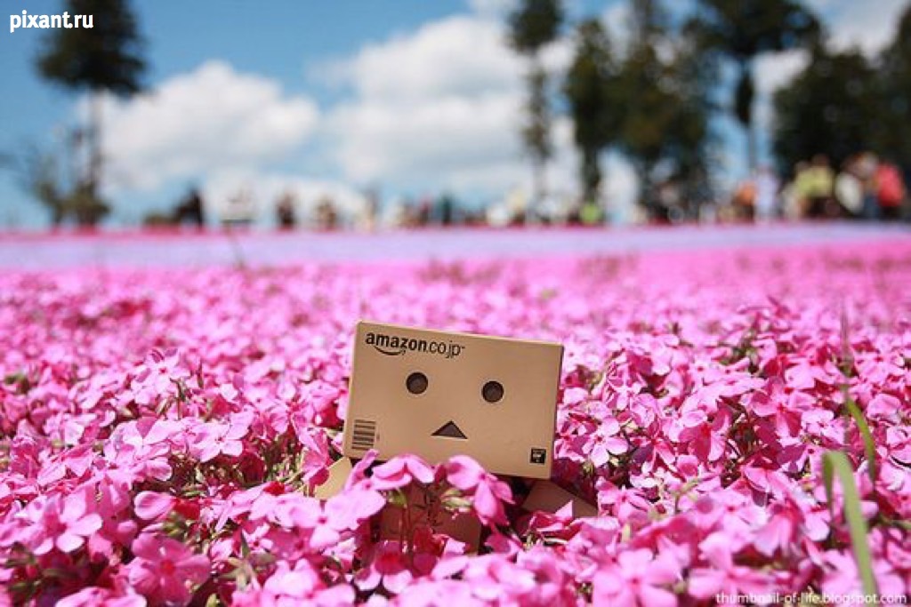 Фото Приключения человечка из картонной коробки Данбо: 131 фото из раздела  /