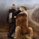 Фото Дети и собаки гуляют вместе (подборка из 24 фото) из раздела  /