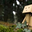 Фото Приключения человечка из картонной коробки Данбо: 131 фото из раздела  /