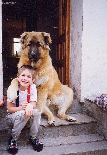 Фото Дети и собаки: обнимашки. Коллекция 51 супер милых фото из раздела  /