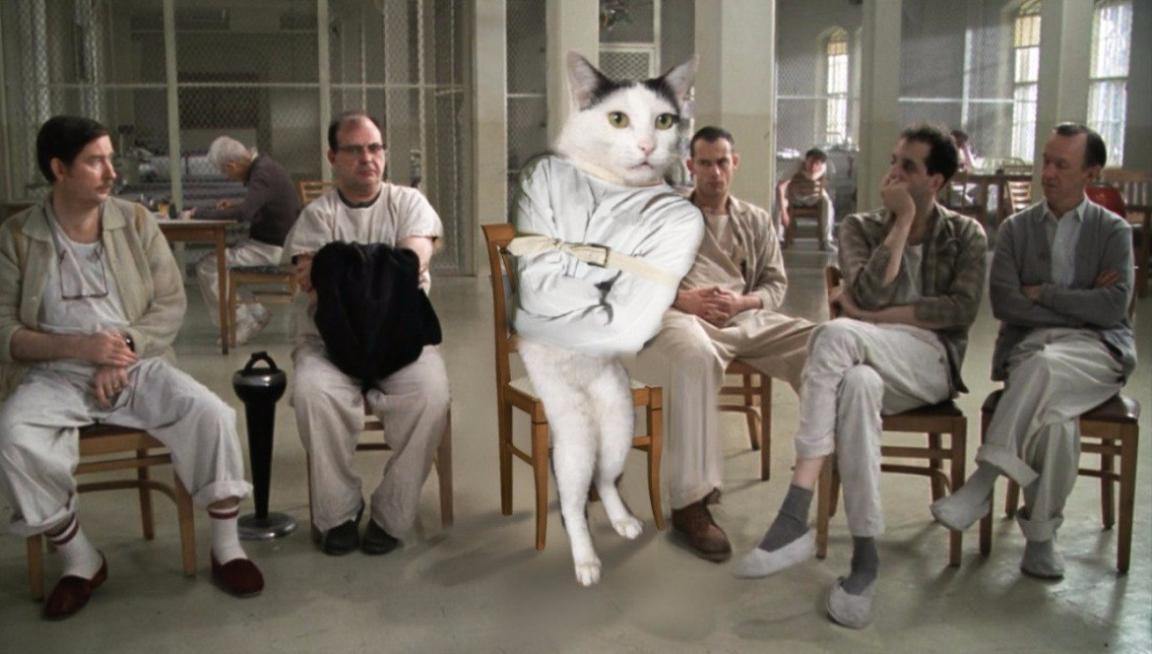 Фото Фотожабы на странного котейку из раздела  /