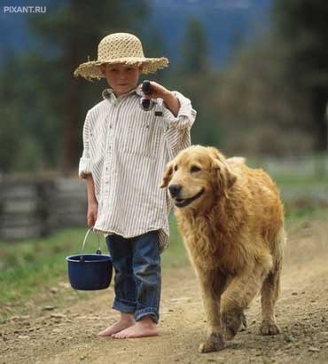 Фото Дети и собаки гуляют вместе (подборка из 24 фото) из раздела  /