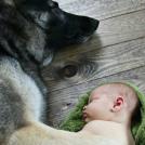 Фото Грудные дети и собаки (подборка из 35 фото) из раздела /