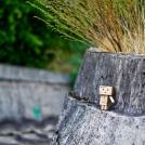 Фото Путешествие картонного человечка Данбо по России (24 фото) из раздела  /