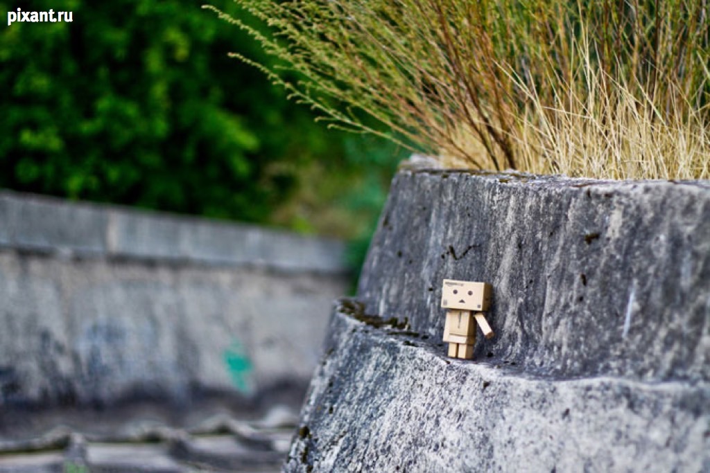 Фото Путешествие картонного человечка Данбо по России (24 фото) из раздела  /