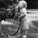 Фото Дети и собаки купаются вместе (позитивная подборка из 19 фото) из раздела /