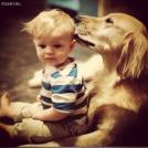 Фото Маленькие детки и собачки (подборка из 22 фото) из раздела  /