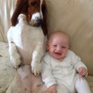 Фото Грудные дети и собаки (подборка из 35 фото) из раздела  /