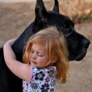 Фото Дети и собаки: обнимашки. Коллекция 51 супер милых фото из раздела  /